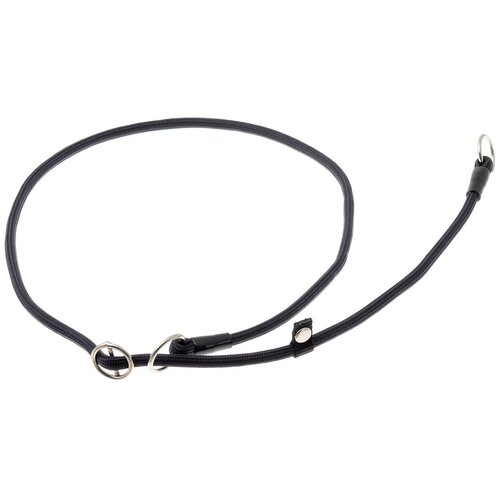 ���� �������� ���� ������� ZooOne (co ��������) � 2-� �������� ������� 6 ��, ����� �������� 90 ��, ������ ��� 90 ��, 1 ��., ������, ������ ������