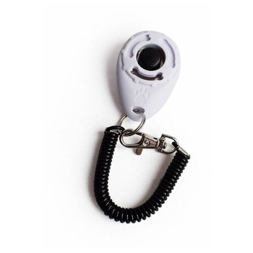 ���� ������ ��� ����������� ����� �� �������� � ���������, Bentfores (�����, 33124), ������ ������