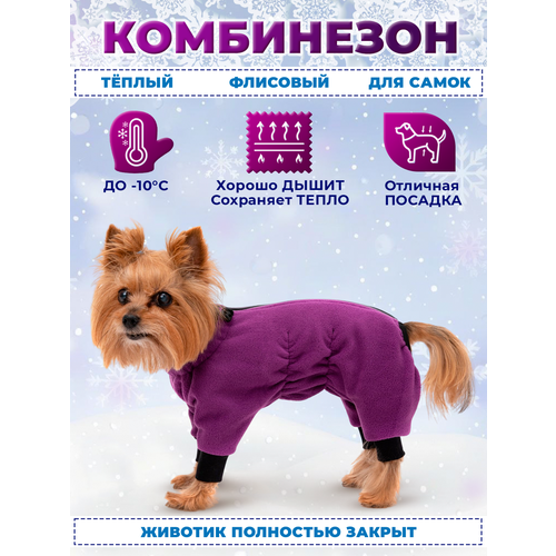 ���� ���������� ��� ����� �� ����� �� ������ �.35 (����) ����������, ������ ������