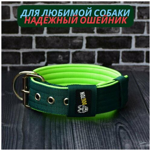 ���� ������� ��� ����� DOGTON. ������� ������� 5.5 ��. ������ ������. ������� ��������. ������� ���������� ���������., ������ ������