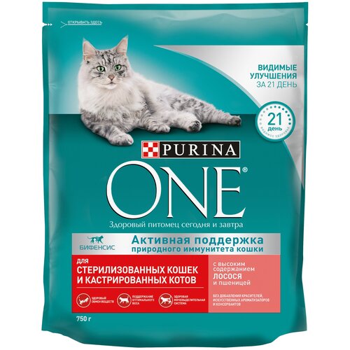    Purina ONE      ,       750   1    -     , -  