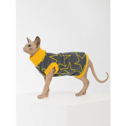 ���� ��������� ����� �� ����� ��� ����� �. M � ������������, ������ ������