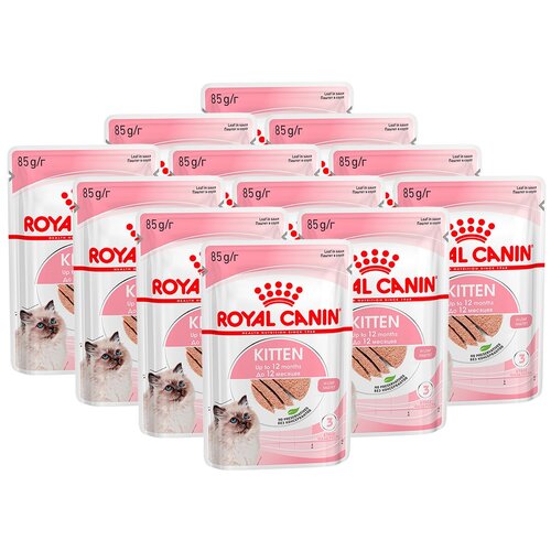  Royal Canin        4  12     Kitten Loaf (85 )   -     , -,   