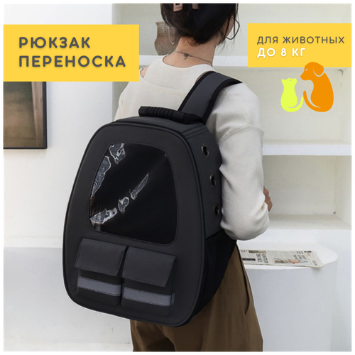 ���� ����� ������ ��������� ��� ����� � ����� � ����� ��� ������, ������, ��� ��������������� �������, ������ ������