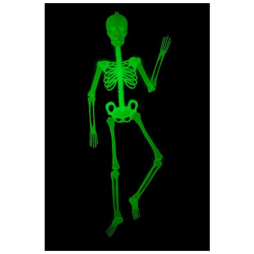 ���� ��������� 