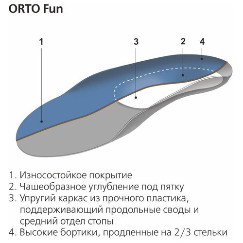     ORTO Fun,  33/34   -     , -  