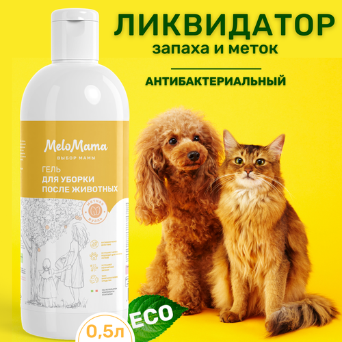 ���� ���������� ������������� ������ ���� ��������, ����� � ����� 