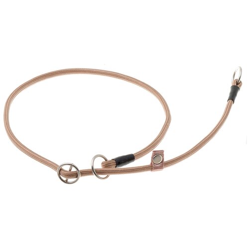 ���� �������� ���� ������� ZooOne (co ��������) � 2-� �������� ������� 6 ��, ����� �������� 70 ��, ������ ��� 70 ��, 1 ��., �����, ������ ������