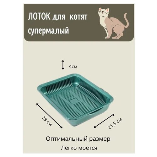 ���� ������ ��� ����� � ������ ����������, 29 � 21,5 � 4��, ������ ������