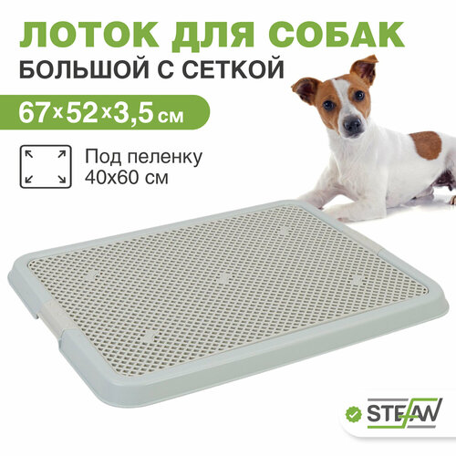 ���� ������ ����� ��� ����� � ������ STEFAN (������) (L) 67�52�3,5��, ����-�������, BP1318NG, ������ ������