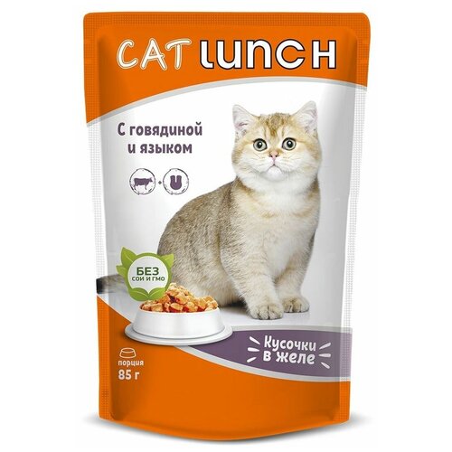  CAT LUNCH          (85   24 )