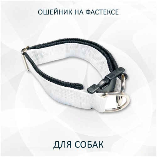 ���� ������� totemica ��� ����� 