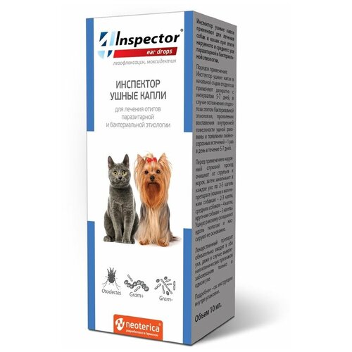 ���� ��������� ����� ����� 10��, ������ ������