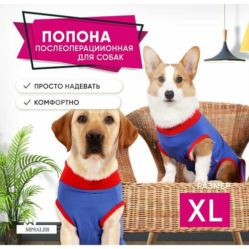 ���� ������ ��� ������ �����������������. ������ XL, ������ ������