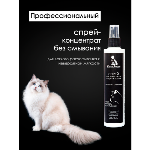     Doctor Groom .   ,     ,  .      , 200    -     , -  