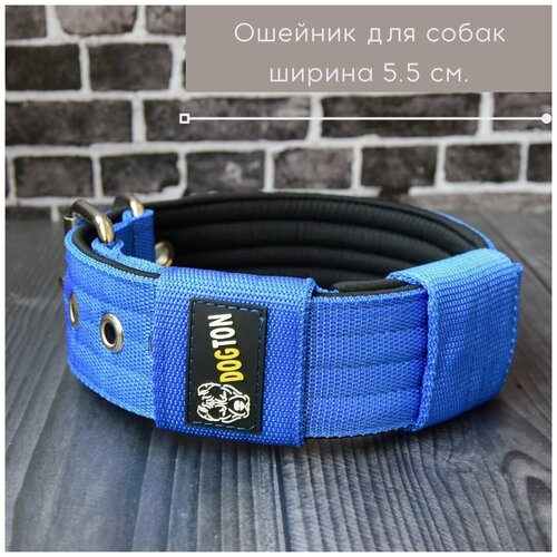 ���� ������� ��� ����� DOGTON. ������� ������� 5.5 ��. ������ ������. ������� ��������. ������� ���������. �� ���., ������ ������