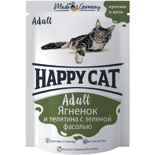     Happy Cat      24 .  100  (  )   -     , -,   