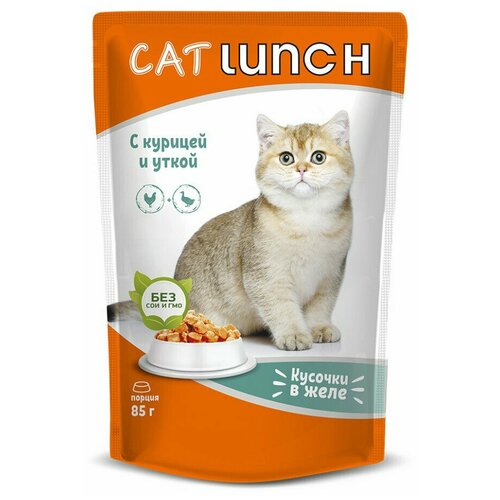  Cat Lunch      ,  (0.085 ) 24  (2 )