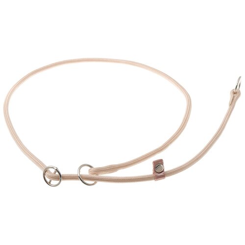 ���� �������� ���� ������� ZooOne (co ��������) � 2-� �������� ������� 6 ��, ����� �������� 90 ��, ������ ��� 90 ��, 1 ��., �������� �����, ������ ������