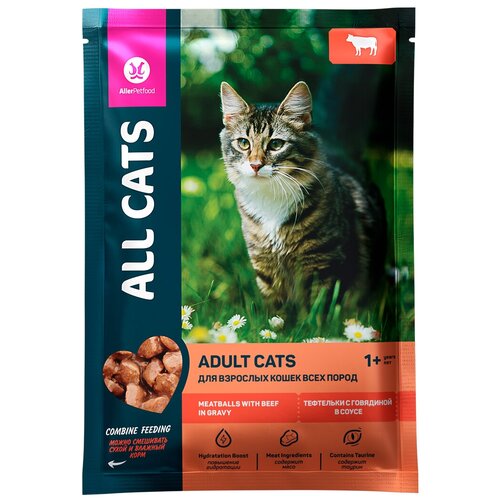  ALL CATS         85   -     , -,   