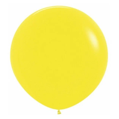 ���� ����� ��������� XXL ��������, ������ 100 ��, ������ ������