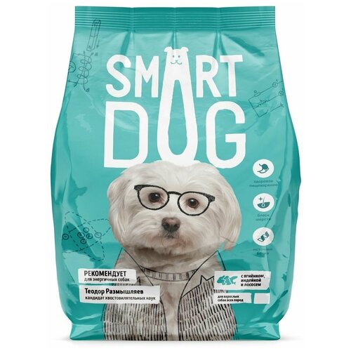  Smart Dog     , , , 18    -     , -,   