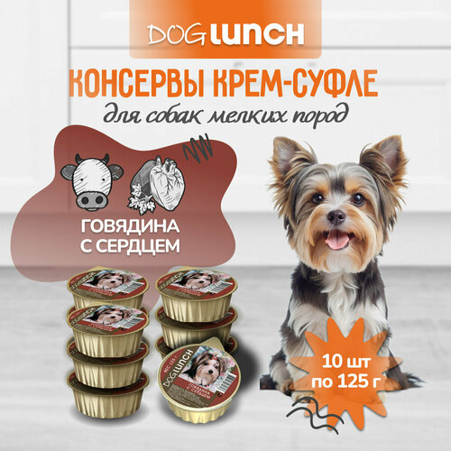      Dog Lunch -, ,  1 .  10 .  125    -     , -  