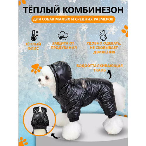 ���� ���������� ��� ����� ������ ������ XL ���� ������, ������ ������