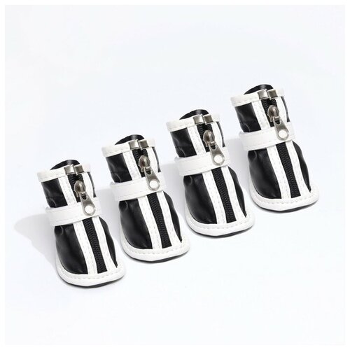 ���� ������� 