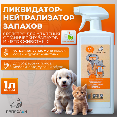 ���� �������� ��� �������� ������������ ������� 1 � � ����� ��������, ������������� ������� 