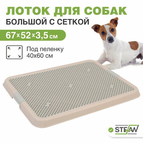 ���� ������ ����� ��� ����� � ������ STEFAN (������) (L) 67�52�3,5��, �������, BP1313NG, ������ ������