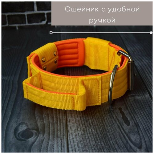 ���� ������� ��� ����� DOGTON � ������. ������� ������� 5.5 ��. ������ ������. ������� ��������. ������� ���������., ������ ������