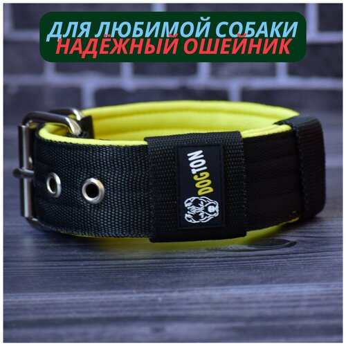 ���� ������� ��� ����� �������. ������ ������. ������� ��������. ������� ���������. �� ������ 43-57, ������ ������