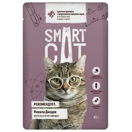  Smart Cat -      ,     , 85  pp59992  25    -     , -,   