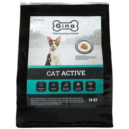  Gina cat active Serbia (      )