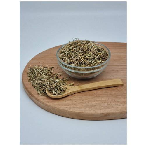 ���� ������������� ����� 1��, ������ ������