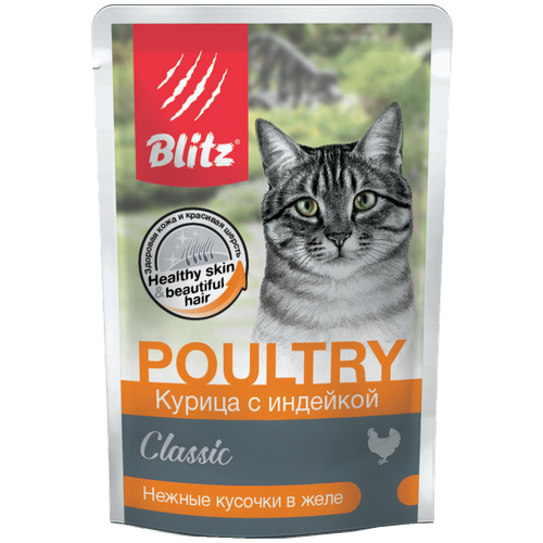  Blitz        BCW05-1-00085 | Classic Chicken Turkey in Jelly Adult Cat All Breeds 0,085  53612 (2 )