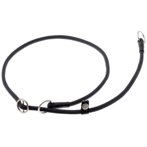 ���� �������� ���� ������� ZooOne (co ��������) � 2-� �������� ������� 6 ��, ����� �������� 80 ��, ������ ��� 80 ��, 1 ��., ������, ������ ������