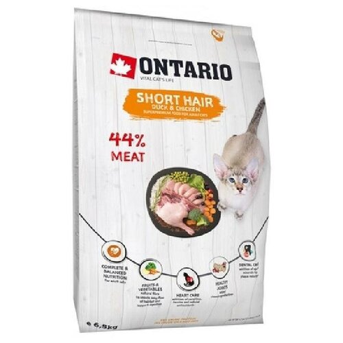  Ontario        (Ontario Cat Shorthair) 213-10335 2  33923 (2 )   -     , -,   