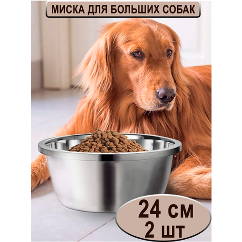 ���� ����� 24 �� ����� 2 �� �������� ������� ��� ����� � ������ ������� � ������� ����� , ������� �������� ������������� �� ����������� ����� ��� ������� ��������, �� ���������� ��� ��������� ��������, ������ ������