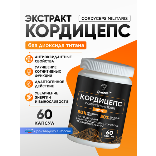 ���� ��������� �������� ������� 60 �� �� 500 ����������, ������ ������