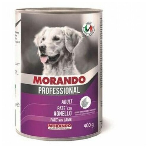  Morando () Professional       , 400.   -     , -  