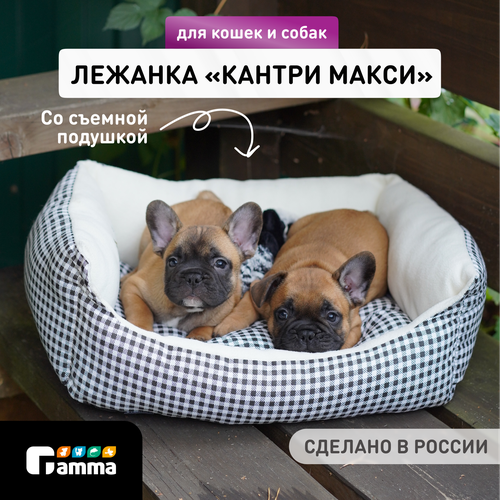 ���� ����� ��� ����� � ����� ����� ������ ���� 50�40�10 �� 50 �� 40 �� ������������� �����/������ 10 ��, ������ ������