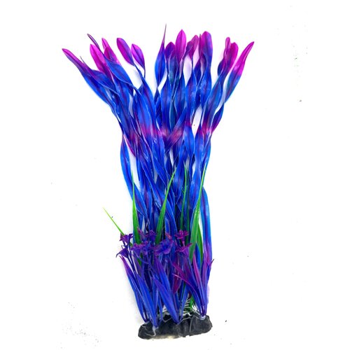 ���� ����������� ������������� �������� 36 �� ., ������ ������