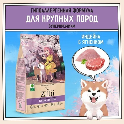        3 ,  ZILLII (),      -     , -  