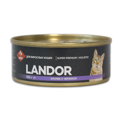  Landor    ,    (12  ) 100    -     , -,   