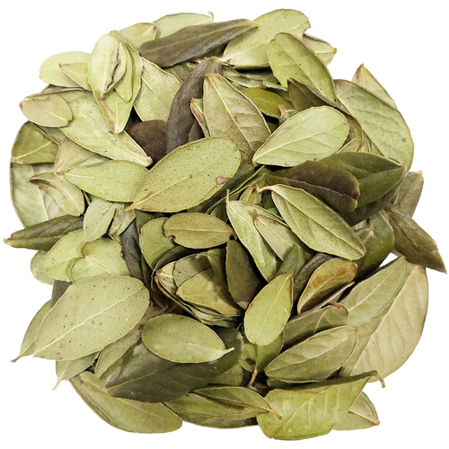 ���� ��������, ������ 20�., ������ ������