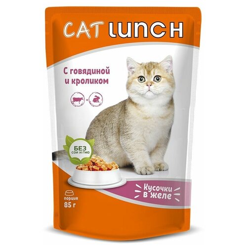      Cat Lunch      ,   85 (24 .  )