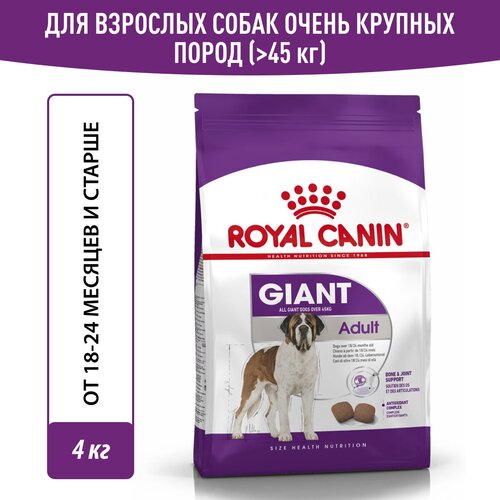     Royal Canin Giant Adult (  )         18 , 4    -     , -  