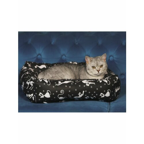 ���� ������� ��� ����� � ����� 56*44��, ������ ������